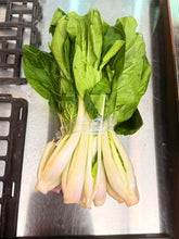 Load image into Gallery viewer, 南棠 Fresh vegetables,Fresh and Delicious 