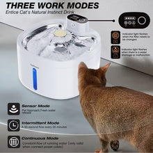 Load image into Gallery viewer, Saltburn pet water dispenser, indoor intelligent automatic cordless water dispenser