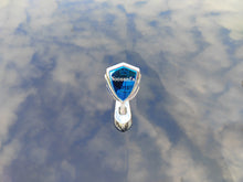 Load image into Gallery viewer, Noosanfa Automotive hood ornaments,Innovative car engine decoration appearance