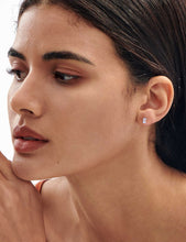 Load image into Gallery viewer, Glyznt Earrings, S925 sterling silver moissanite earrings