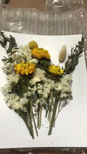 Load image into Gallery viewer, Aijues Dried flowers, bouquets, dried flowers, and leaf stem embossed bouquets. DIY process for plant stem bundles