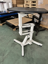 Load image into Gallery viewer, Zoraio dog grooming table, Air-lift grooming table