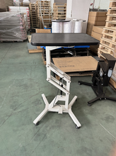 Load image into Gallery viewer, Zoraio dog grooming table, Air-lift grooming table