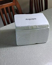 Load image into Gallery viewer, Anguipie vase,Modern Farmhouse Decorative Off-White,Rustic Home Déco