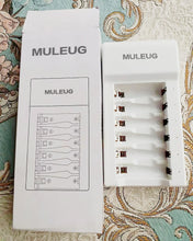 Load image into Gallery viewer, MULEUG electric batteries chargers, 6 bay battery charger, for aa aaa rechargeable batteries