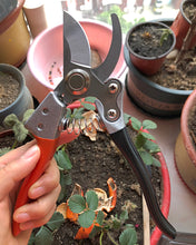 Load image into Gallery viewer, YOBAN gardening shears, pruning shears-high-performance single-handed left-handed garden pruning shears made in Switzerland