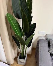 Load image into Gallery viewer, HXGYZP Nearly Natural Artificial Plant, Green