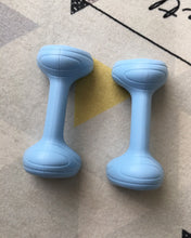 Load image into Gallery viewer, aisifu Barbell Neoprene Coated Dumbbell (Pair), Portable Weights for Home Gym Hand Weight