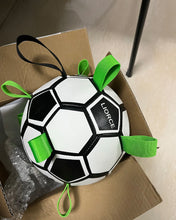 Load image into Gallery viewer, LIORCE-Dog Toy Balls for Hours of Durable Bouncy Fun | Playful Lightweight Fetch Ball for Dogs Outdoor Games