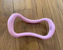 Load image into Gallery viewer, RAY NIGEL Gymnastics Equipment Body Power Push up