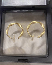 Load image into Gallery viewer, Hilufiet Earrings,14K gold plated clip fashion Earring bag, hypoallergenic