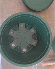 Load image into Gallery viewer, AEIDDRWAA Flower Pots, Plant Pots Set of 10 Plastic Pots with Drain Holes and Trays