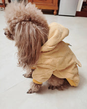 Load image into Gallery viewer, KUSBOO Pet clothing,Small Dog Sweaters Knitted Pet Cat Sweater Warm Dog Sweatshirt Dog Winter Clothes Kitten Puppy Sweater