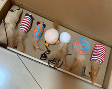 Load image into Gallery viewer, Moeking pet toy,Value Pack Soft Plush Catnip Cat Toys, Mice Toys with String Tails, Filled with Pure & Potent Catnip