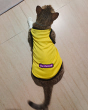 Load image into Gallery viewer, lily chocoli pet clothes, soft vest cat sweater kitten clothes, sweatshirt pet kitten pajamas