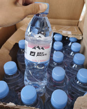 Load image into Gallery viewer, RAY NIGEL mineral water,Natural Spring Water, Naturally Filtered Spring Water in Large Bottles,  (Pack of 24)