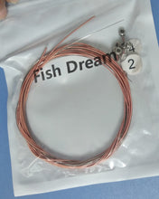 Load image into Gallery viewer, Fish Dream guitar string ,Acoustic Guitar  Strings, Light Tension – Corrosion-Resistant Rust-Prevent Brass, Offers a Bright and Well-Balanced Acoustic Tone