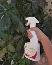 Load image into Gallery viewer, CENCANON Hand sprayer for insecticide,Pressure Sprayer Bottle for Lawn, for Watering,Insecticide,Spraying Weeds,Home Cleaning and Car Washing