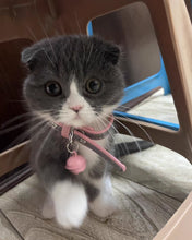 Load image into Gallery viewer, Musikyo cat collar,Classic Cat Collar, One Size Fits All, Pink