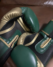 Load image into Gallery viewer, Reerooh Boxing Gloves, Taekwondo Muay Thai Punching Bag, MMA Professional Sparring Training, Fighting Gloves for Men and Women