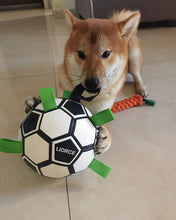 Load image into Gallery viewer, LIORCE-Dog Toy Balls for Hours of Durable Bouncy Fun | Playful Lightweight Fetch Ball for Dogs Outdoor Games