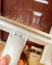 Load image into Gallery viewer, TXYXT Scraper,Pet Fur Remover,Lint Brushes for Pet Hair