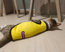 Load image into Gallery viewer, lily chocoli pet clothes, soft vest cat sweater kitten clothes, sweatshirt pet kitten pajamas