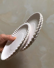 Load image into Gallery viewer, ZUIFUGUI Paper plates,Disposable White Plate, Biodegradable Paper Plates