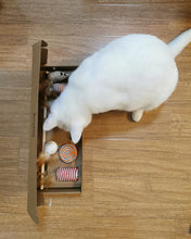 Load image into Gallery viewer, Moeking pet toy,Value Pack Soft Plush Catnip Cat Toys, Mice Toys with String Tails, Filled with Pure & Potent Catnip