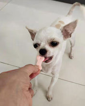 Load image into Gallery viewer, KaraStar Dog biscuits,Wag Training Treats for Dogs (Chicken, Peanut Butter & Banana, Hip & Joint)