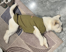 Load image into Gallery viewer, PUROAYET Pet Clothes Blank Clothing, Doggy Soft and Breathable Apparel Outfits for