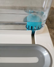 Load image into Gallery viewer, YAONNY pet feeding and drinking bowls,Food Bowl Set, Raised Cat Bowls for Food and Water, Food Feeding Dishes for Cats and Puppies