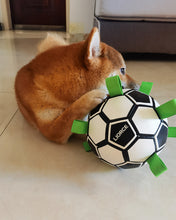 Load image into Gallery viewer, LIORCE-Dog Toy Balls for Hours of Durable Bouncy Fun | Playful Lightweight Fetch Ball for Dogs Outdoor Games