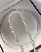 Load image into Gallery viewer, SIXFU Jewelry,Sterling Silver Round White Simulated Shell Pearl Necklace Strand | Pearl Choker Necklace | Jewelry for Women