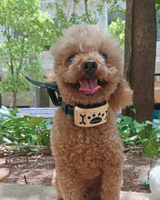 Load image into Gallery viewer, PEODAOB Electronic collar for training animals,Electronic Dog Training Collar  for Small Dogs to Large Dogs, Vibration, Tone,  Safety Lock, Waterproof
