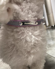 Load image into Gallery viewer, Asaetsu Animal Collar,Comfortable Durable Animal Collar, Pink