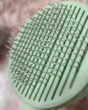 Load image into Gallery viewer, CeleMoon Cat Grooming Brush, Brush for Dogs and Cats Shedding & Grooming, Self Cleaning Pet Brush