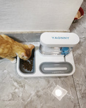 Load image into Gallery viewer, YAONNY pet feeding and drinking bowls,Food Bowl Set, Raised Cat Bowls for Food and Water, Food Feeding Dishes for Cats and Puppies
