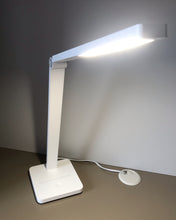 Load image into Gallery viewer, Flowers bloom on the other side table lamp, modern and fashionable LED table lamp, foldable reading lamp, 12W