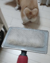 Load image into Gallery viewer, GLOSSONLY Brushes for pets-Special Pet Artifact for Short and Long Hair