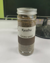 Load image into Gallery viewer, Kyushu plant seeds, planted on the soil and watered can grow, the back garden grass seeds