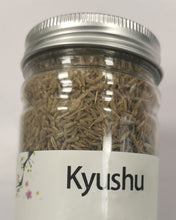 Load image into Gallery viewer, Kyushu plant seeds, planted on the soil and watered can grow, the back garden grass seeds
