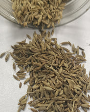 Load image into Gallery viewer, Kyushu plant seeds, planted on the soil and watered can grow, the back garden grass seeds