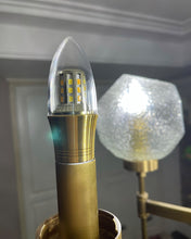 Load image into Gallery viewer, LUCKYFISH Led lamps, 9W Dimmable Led Tubular Bulbs, 75-100 Watt Equivalent,4000K Daylight, 850lm, Clear Glass, E26 Base Lamp Bulb, for Cabinet Display Cabinet etc,No Flicke