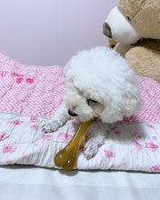 Load image into Gallery viewer, Lonwen pet toys, bone-shaped snack toys, interactive chew toys for dogs