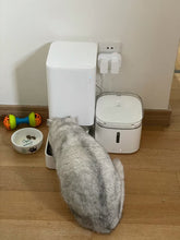 Load image into Gallery viewer, WELANE Feeding vessels for pets,Enabled Smart Pet Feeder for Cats and Dogs