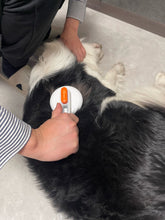 Load image into Gallery viewer, catiorz Pet brush,Self-Cleaning Brush Comb Pet Cat Dog Grooming Long Short Hair