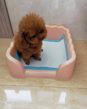 Load image into Gallery viewer, greenpoint disposable pet diapers 12.9 inches X 17.7 inches (50 pieces), incontinence pads for domestic pet dogs