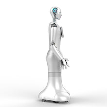 Load image into Gallery viewer, WO-WE Humanoid robots with artificial intelligence, commercial robot service robots humanoid robots
