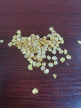 Load image into Gallery viewer, 南棠 Plant seeds, chili ground cover plant seeds
